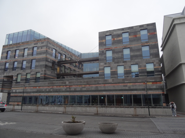 4B Reykjavik parlement DSC00052