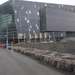 4B Reykjavik,   opera DSC00028