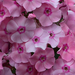 20080629__2207