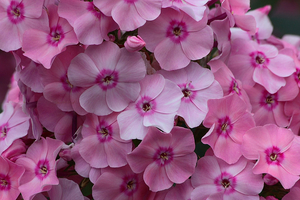 20080629__2207