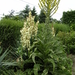 thuis 008