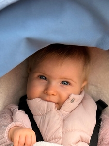 5fbd1b56-f968-49f5-95cb-5bea17404e8e