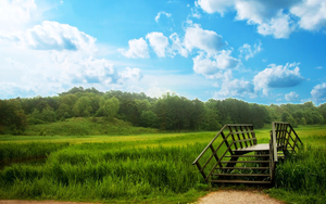 natuur-achtergrond-met-bruggetje-in-gras-velden