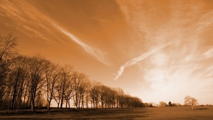 natuur-achtergrond-met-rij-bomen-en-groen-gras