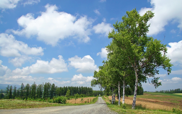 Natuur-Landschap-achtergrond-42