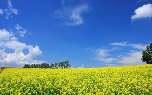 Natuur-Landschap-achtergrond-47