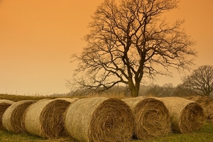 straw-bales-4056562_960_720