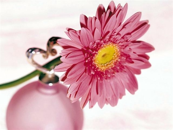 bloemen 185 (Small)