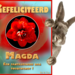 Magda