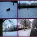 maart2008