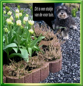 Dit een stukje voor de voortuin