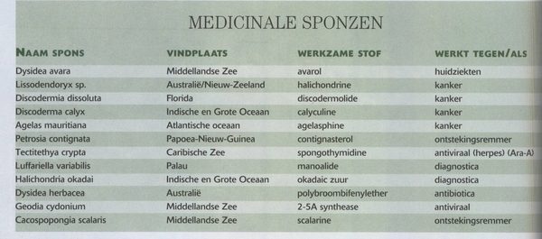 A Medicinale sponsen (2)