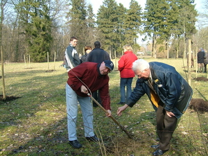 E Geboorteboom (3)