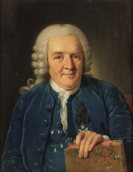 Linnaeus-copyrightKVA