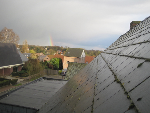 regenboog (2)