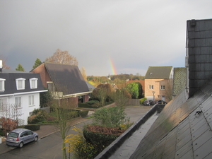 regenboog