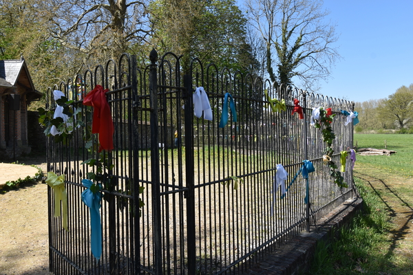 DSC_9201