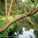 Rivierenhof Deurne