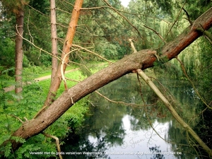 Rivierenhof Deurne