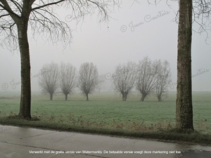 Steenstraat Werken 2