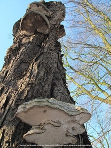 Brugge 2