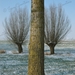 Gemeente Werken 1