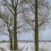 Gemeente Werken 2