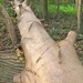 Natuurgebied De Blankaart