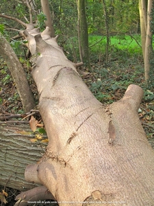 Natuurgebied De Blankaart