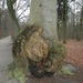 Peerdsbos Brasschaat