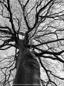 Plantentuin Antwerpen