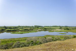 18 Parc du Marquenterre 5
