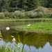 19 Parc du Marquenterre 6