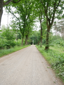 P1190469
