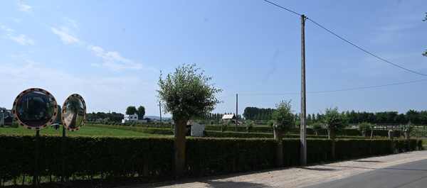 DSC_8587