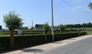 DSC_8588