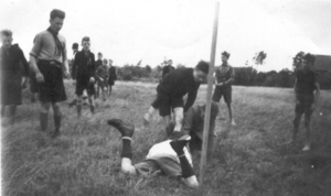 37