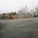 Chiroheem sp