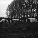 Kamp (3)