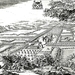 A Gravure van Harewijn