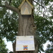N Trunk (5)