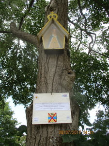 N Trunk (5)