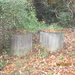 Pl. steen (3)