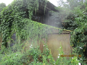 W Huis atelier Lenaerts