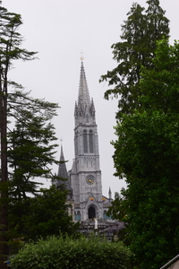 DSC_7206