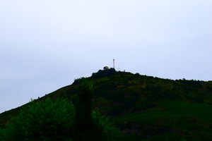 DSC_7376