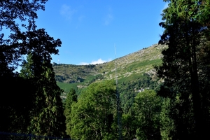 DSC_7547
