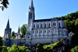 DSC_7567