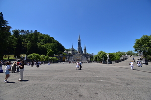 DSC_7584