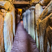 4A Ierl  Newgrange passage